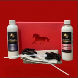 Year of the Red Horse Collection